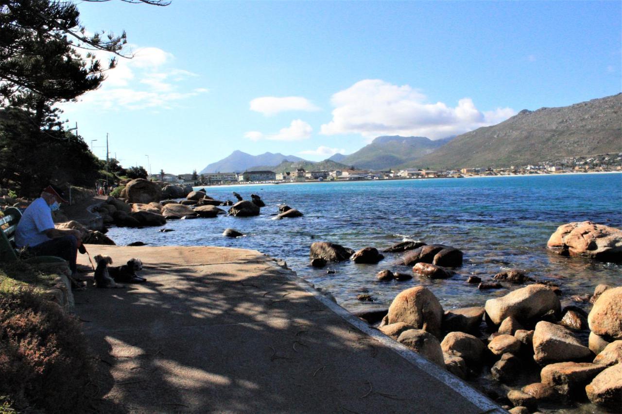 South Peninsula Beach Apartment Cape Town Ngoại thất bức ảnh
