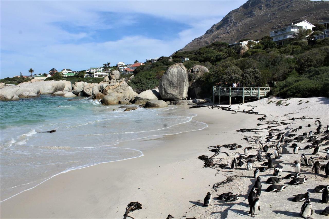 South Peninsula Beach Apartment Cape Town Ngoại thất bức ảnh