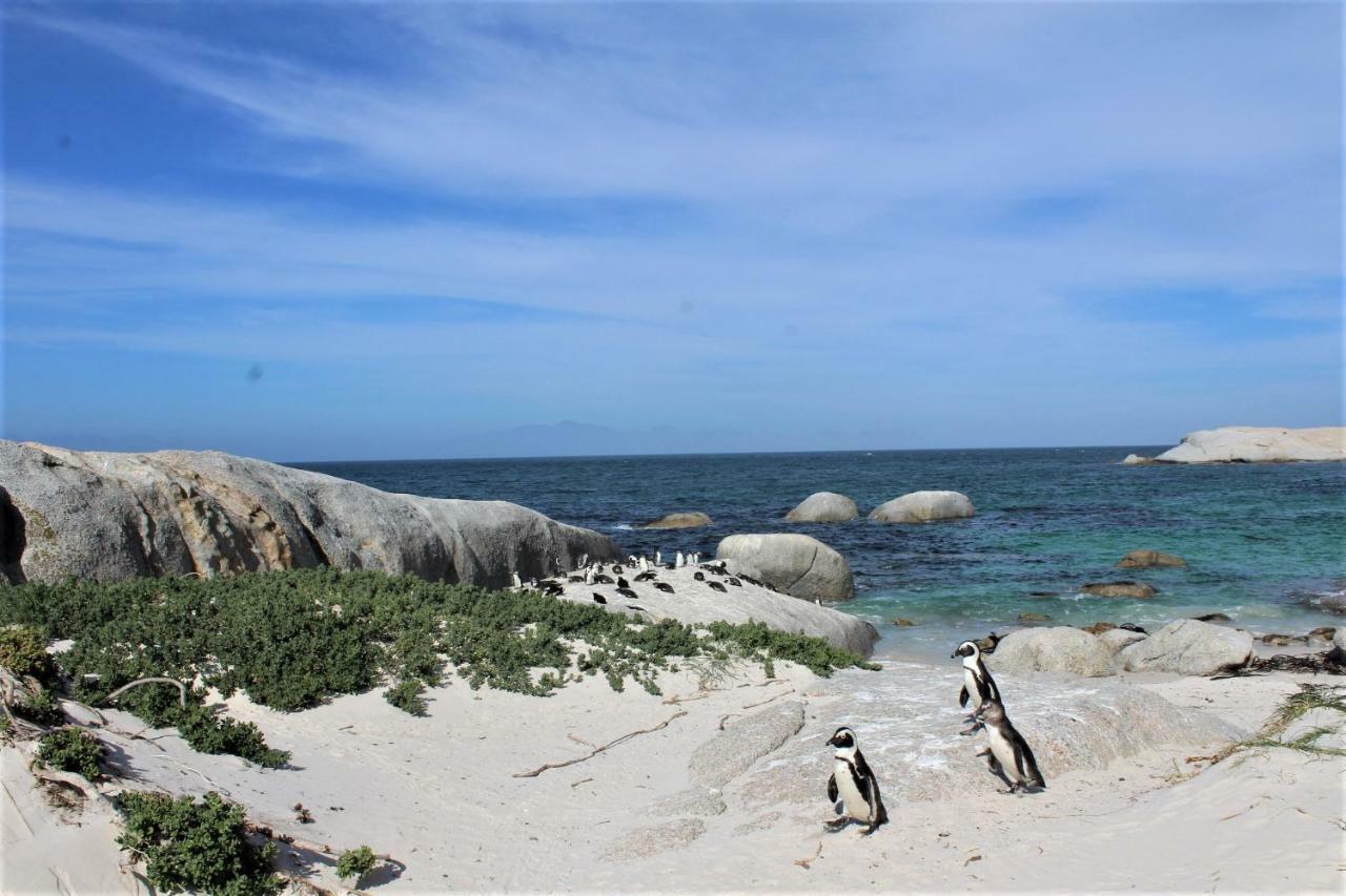 South Peninsula Beach Apartment Cape Town Ngoại thất bức ảnh